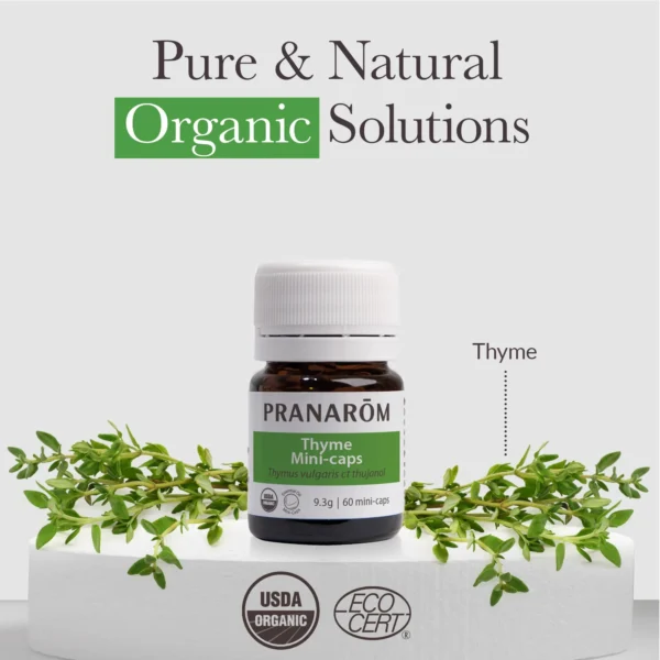 Thyme mini-caps - Bio