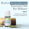 Zen Essential Oil Diffusion Blend - Bio
