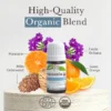 Zen Essential Oil Diffusion Blend - Bio