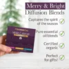 Merry & Bright Diffusion Kit